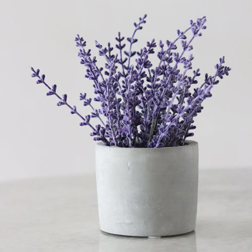 lavender flowers in white jar on white surface