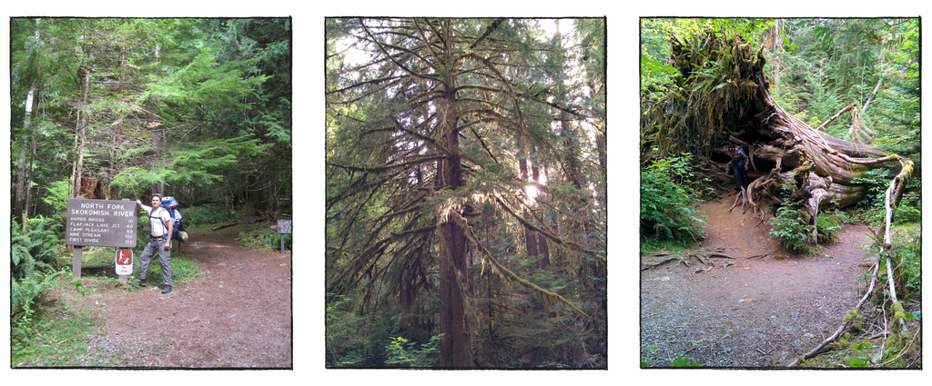 Rachel's husband posing near the trailhead, a photo of a big beautiful tree covered in ferns.