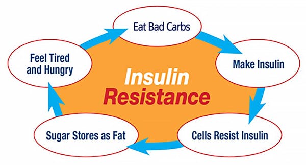 Insulin Resistance & Weight Gain