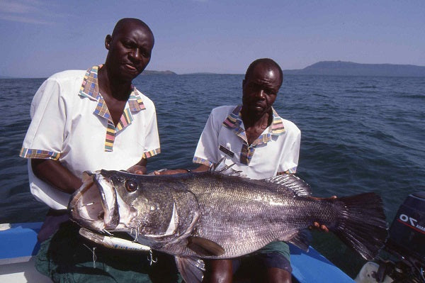 Omega-Rich-Fish-in-Lake-Victoria-Kenya