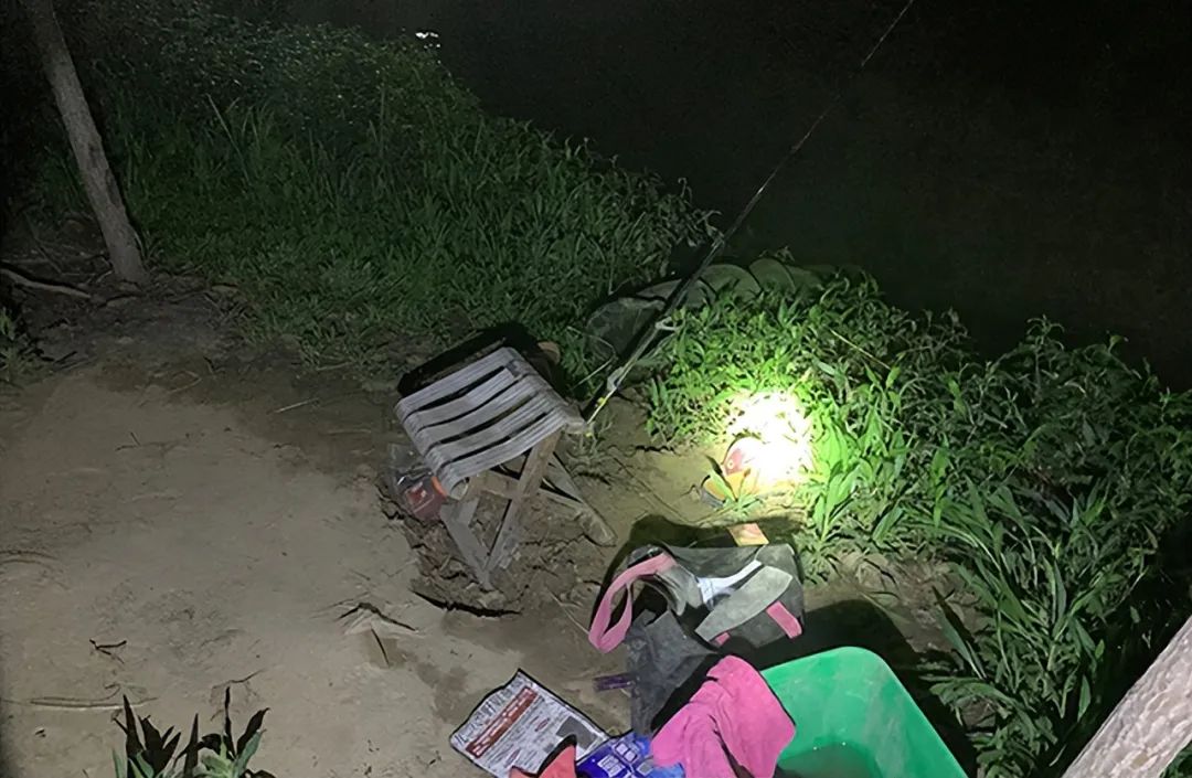 Summer Night Fishing Precautions - croc lights