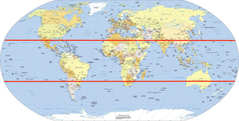 coconut tree locations