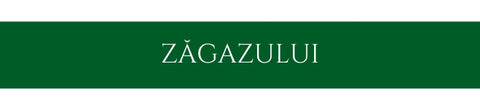 Amoom Zagazului