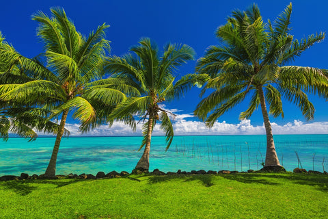 Image d'un souvenir de vacances sur une plage tropicale : idéal pour un tableau photo personnalisable