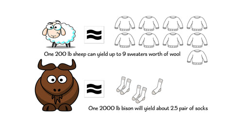 bison sheep comparison