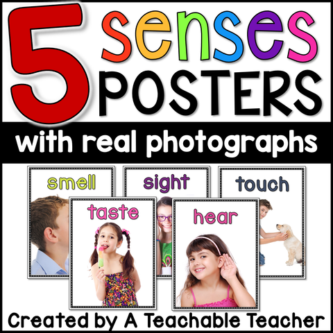5 Senses Posters with Real Photographs