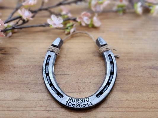 Personalized Linked Horseshoes- With Hooks