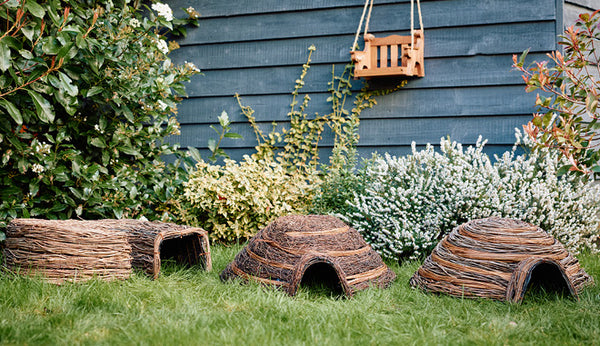 Hedgehog Habitats