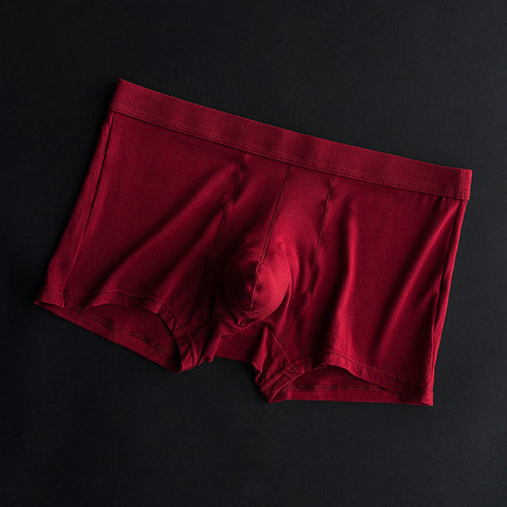 Mens Modal U Convex Pouch Boxer Briefs – Mr Saker