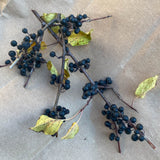 Stem of buckthorn leaves and berries