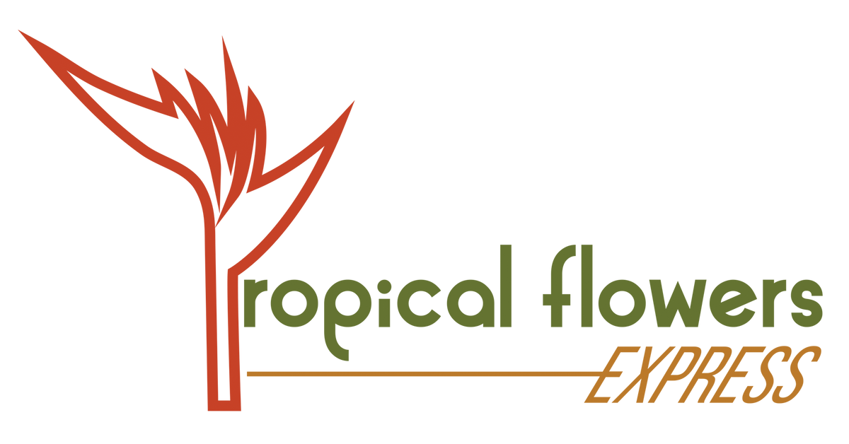 Tropical Flowers Express