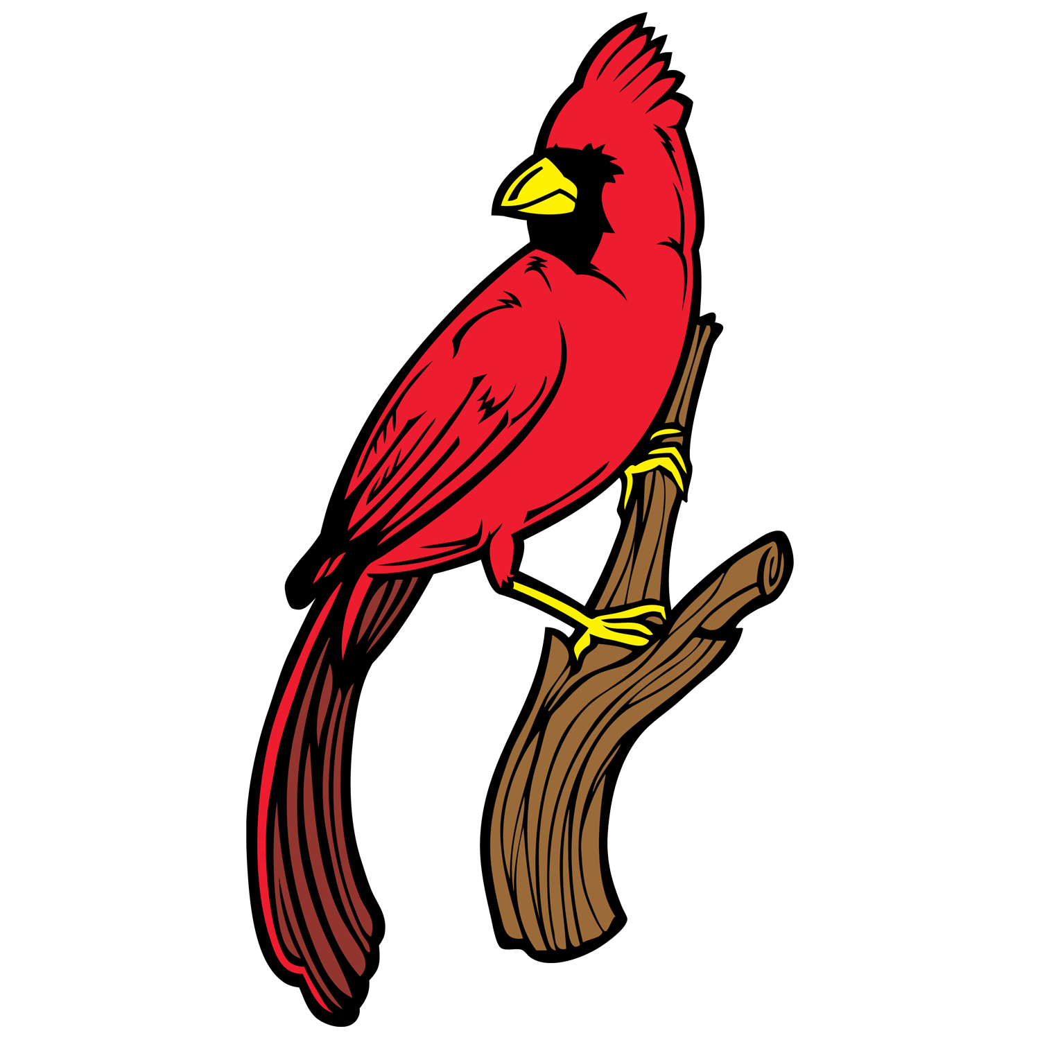 Cardinals