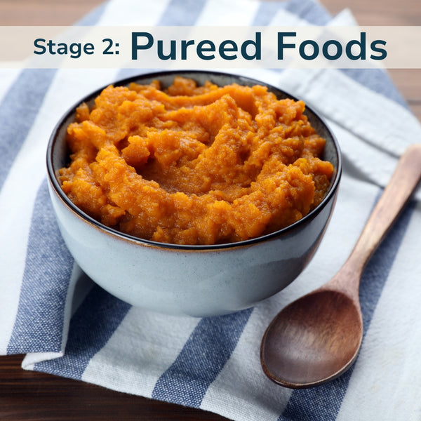 Stage 2: Pureed Foods