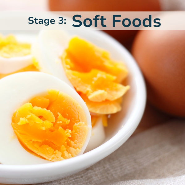 Stage 3: Soft Foods