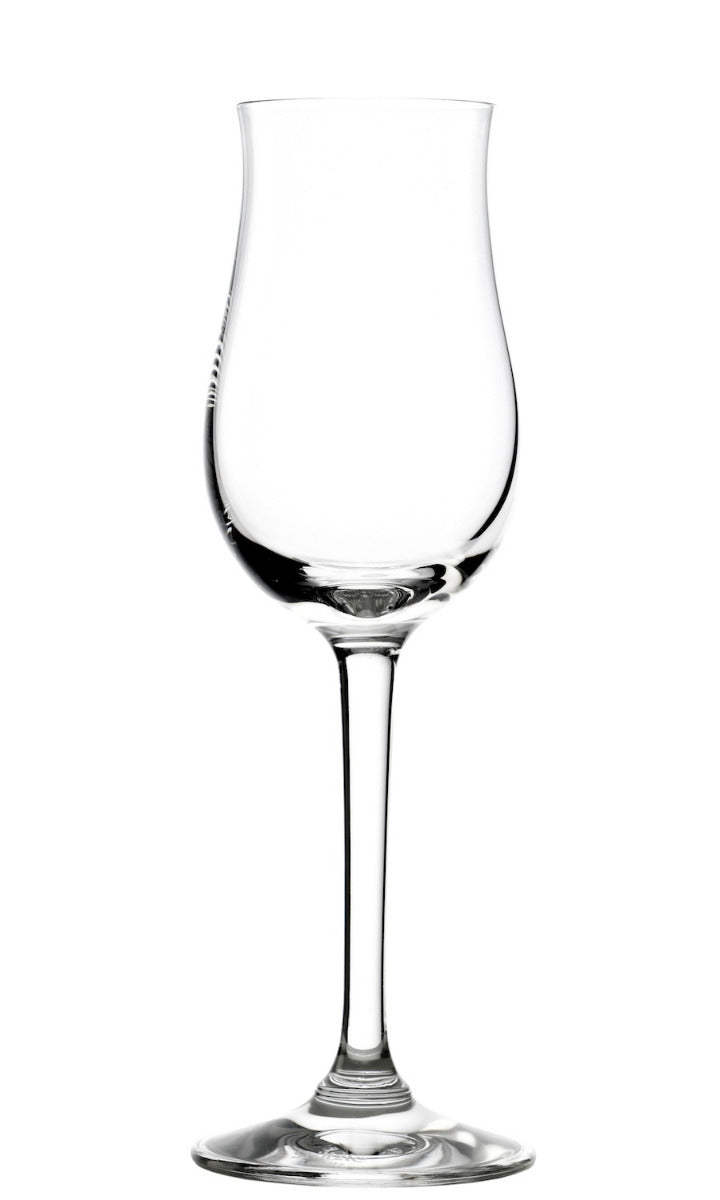 Experience white wine glass set of 6