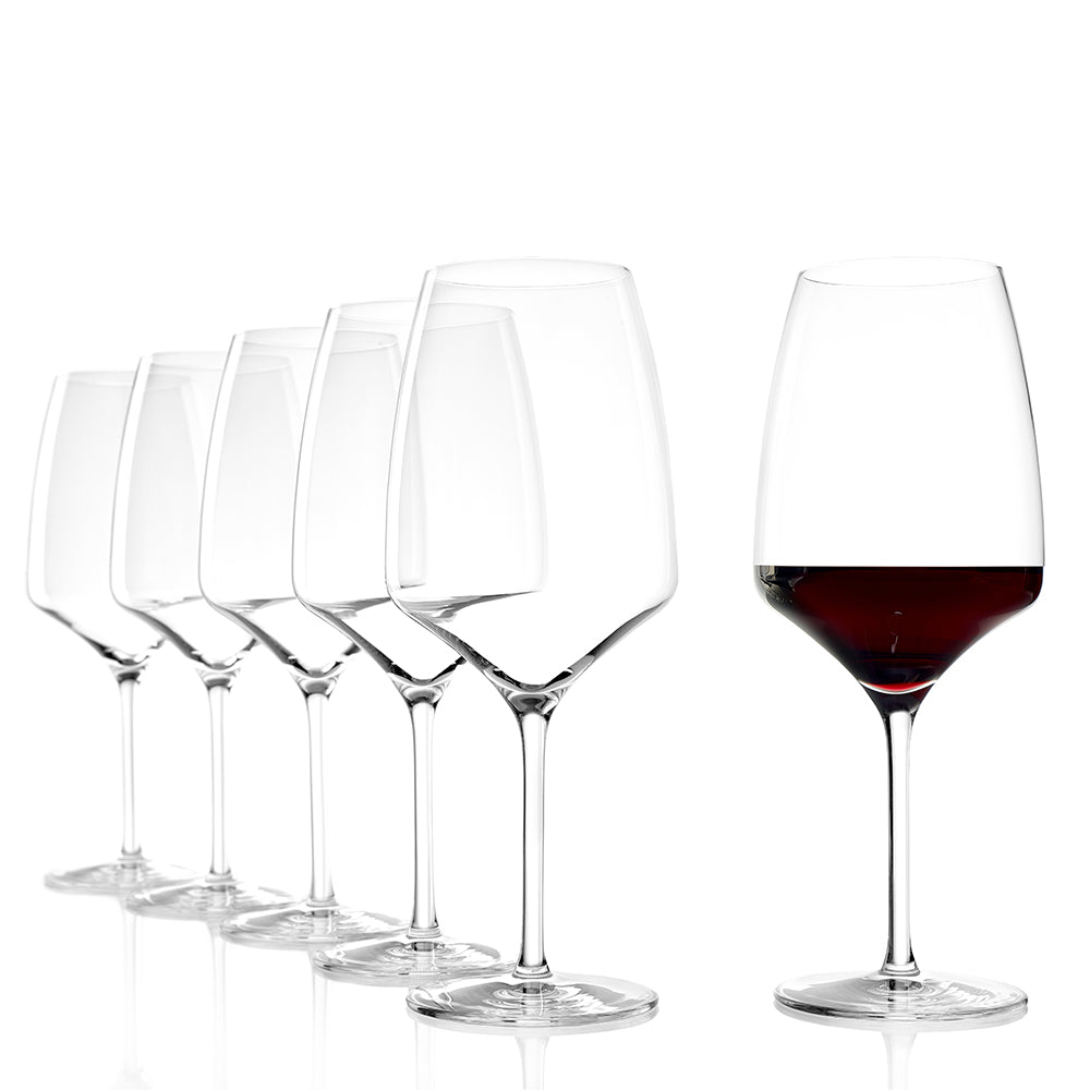 Experience red wine goblet set of 6