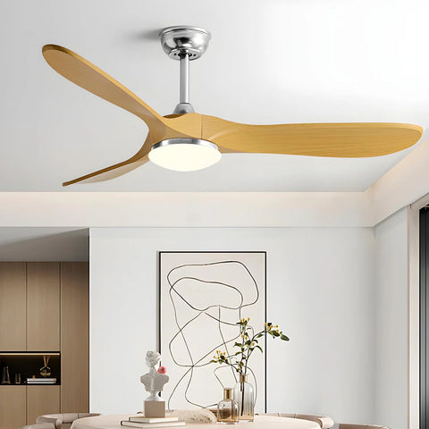 AC Ceiling Fan