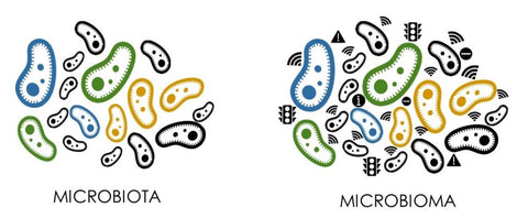 MICROBIOMA Y MICROBIOTA