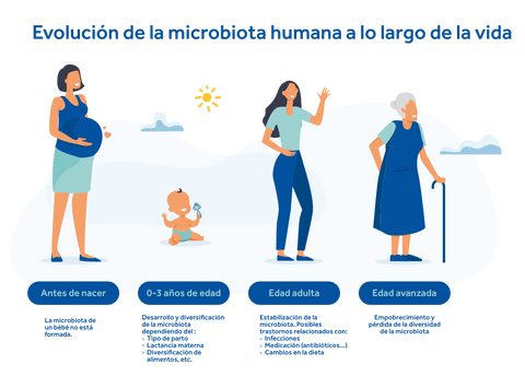 EVOLUCION DE LA MICROBIOTA