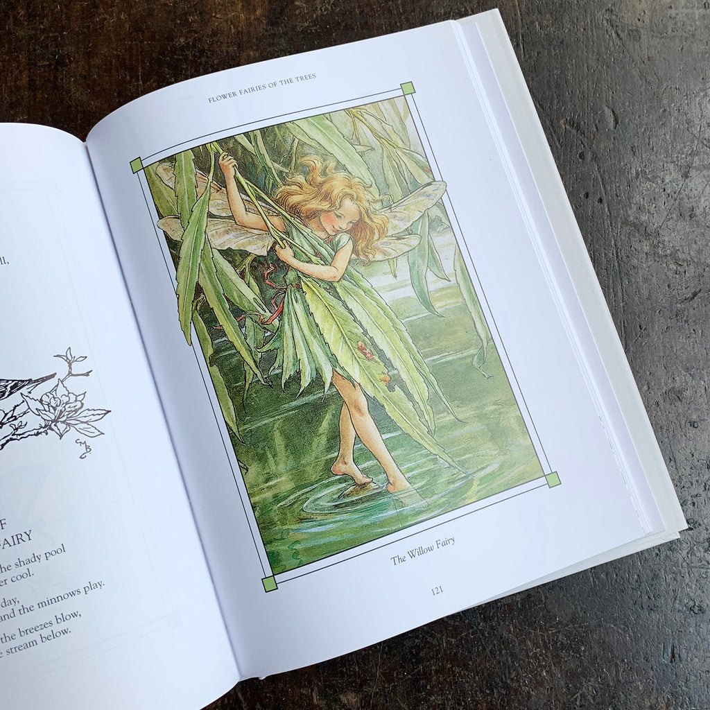 the complete book of the flower fairies cicely mary barker