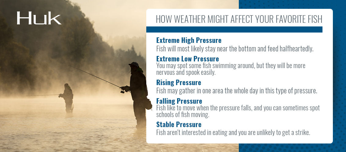 Understanding How BAROMETRIC PRESSURE affects Fishing (High & Low Pressure)  