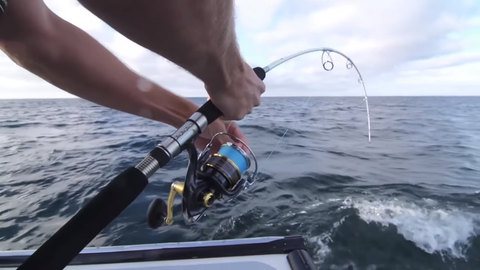 Torture Test: Bluefin Tuna Fishing With A Stella Spinning Reel – Huk Gear