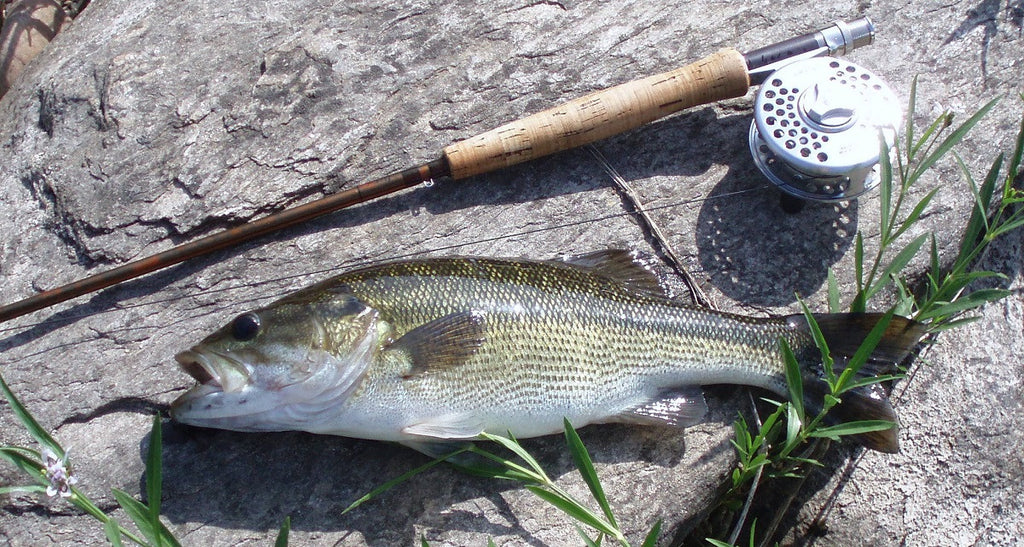 Ultralight Bass Fishing Tips, Lures & Gear