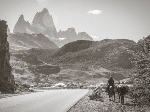 Person on horse in black and white