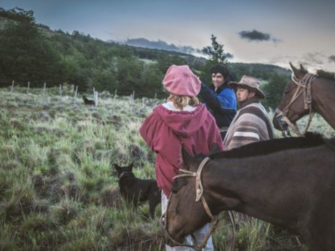 People in field with horse