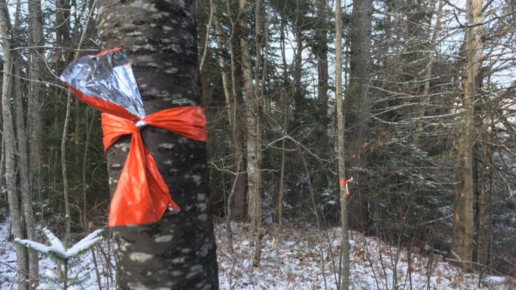 Emergency Blanket as trail marker on tree