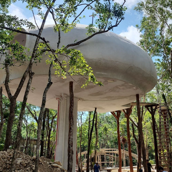 Giant Mushroom Airbnb OMG! Fund Winner