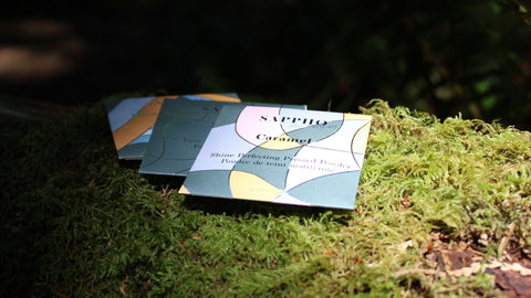 Plastic-free makeup refill envelopes placed on a mossy log in BC forest