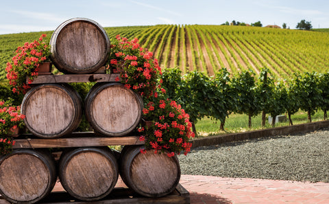 Vintage vient de vendage, la récolte du vin