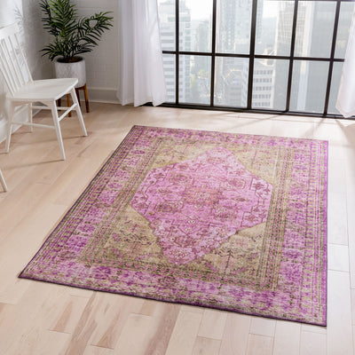 Lofland Oriental Distressed Medallion Pink Area Rug