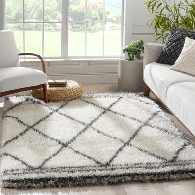 Hand Braided Ivory Multi-color Soft Area Rugs