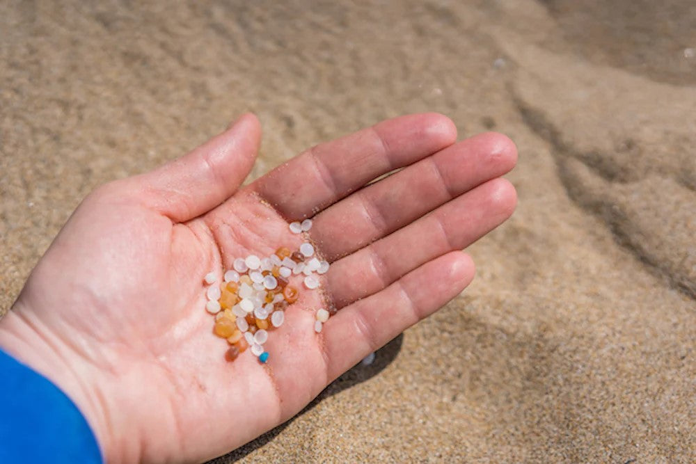 Impact of Microplastics on the Environment