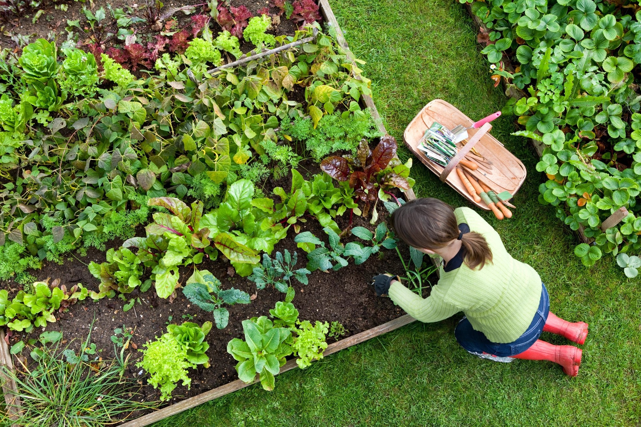 Sustainable Gardening Tips