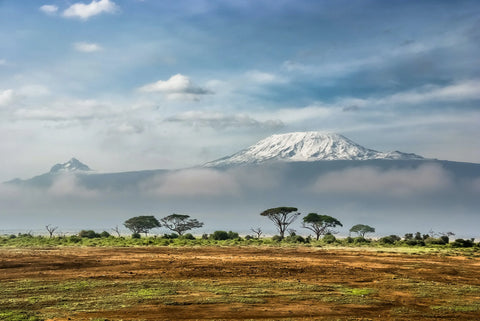 紅茶の新たな発見、ケニア紅茶の産地を巡る旅｜LEMURIA