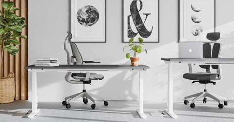 Ergonomic Office and Home Chairs for backs and wellnes
