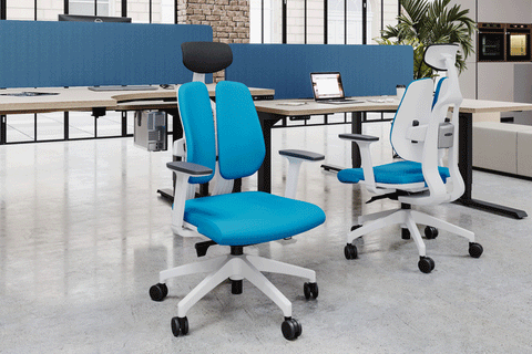 Office Chairs Ergonomic and Ergo back support healthy wellness sitting