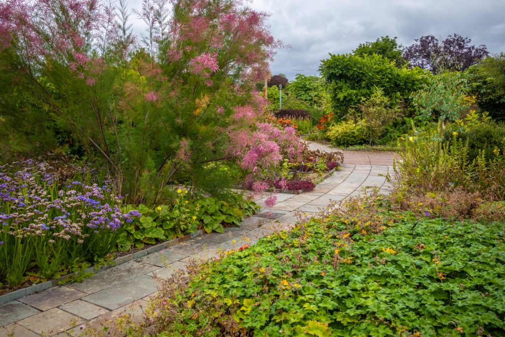 Flowers in the National Botanical Gardens of Wales