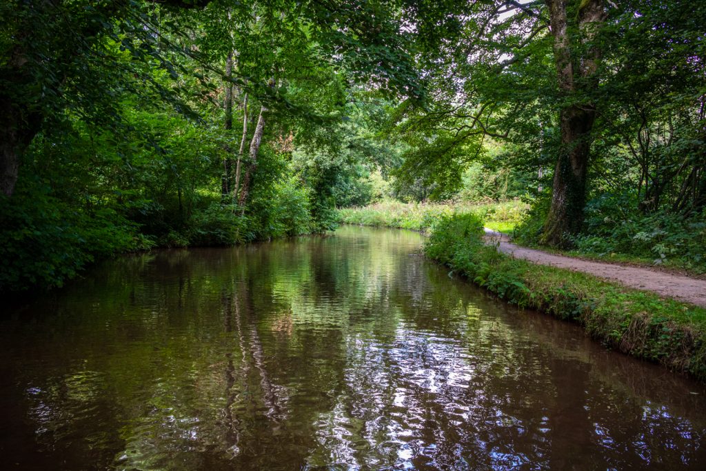 Peaceful stretches of the Monmouthshire and Brecon Canal