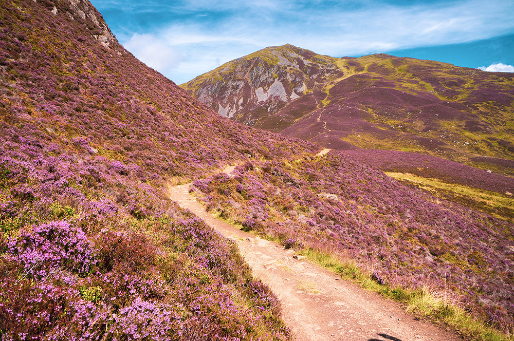 Cairngorms 4000, Cairngorms