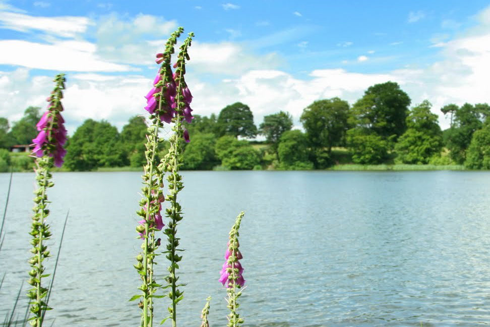 Colemere Water