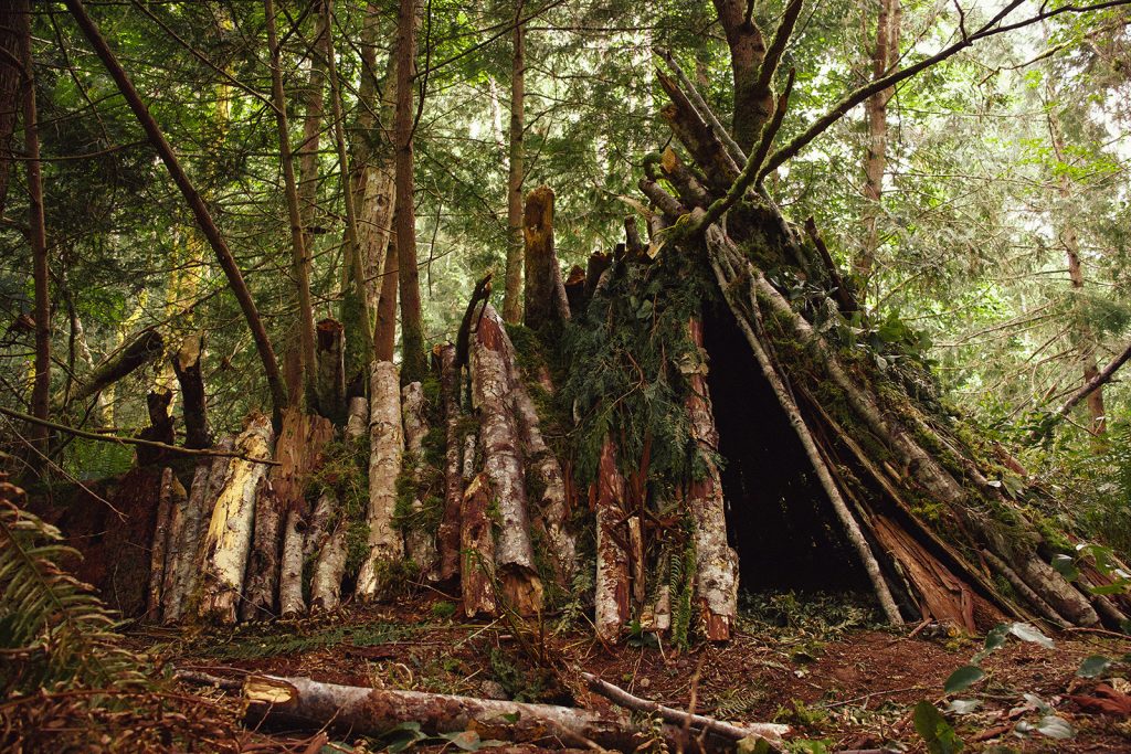 A makeshift shelter created using logs and branches