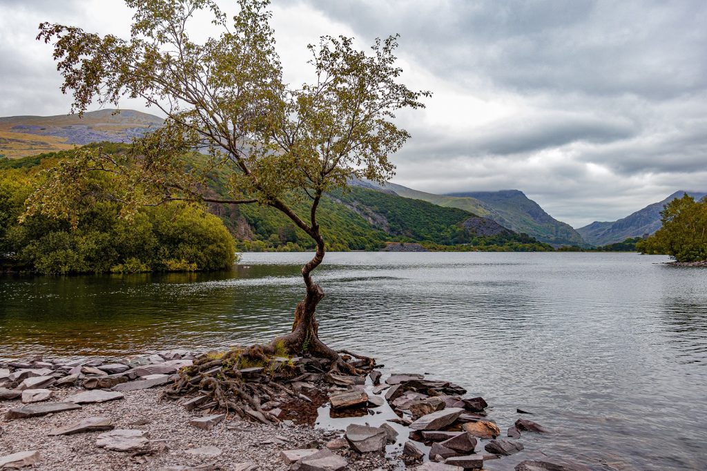 Beautiful lake near Llanberis in Snowdonia National Park