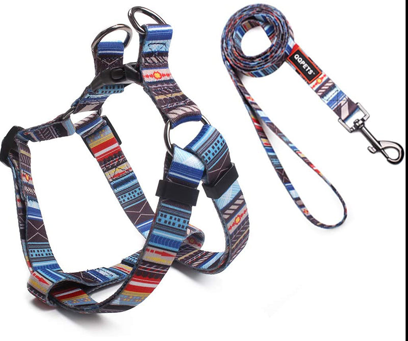 Roses & Poetry puppy harness and leash combination