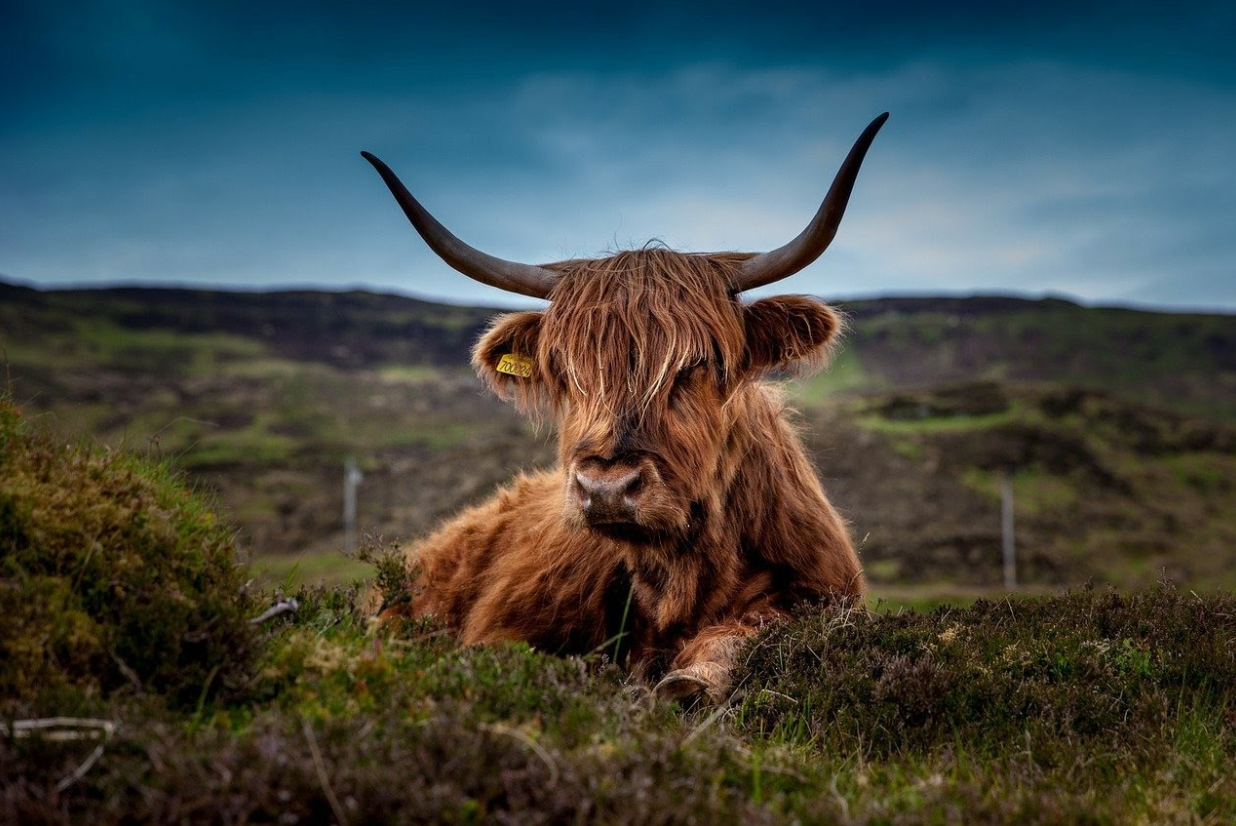 Wild Camping In Scotland