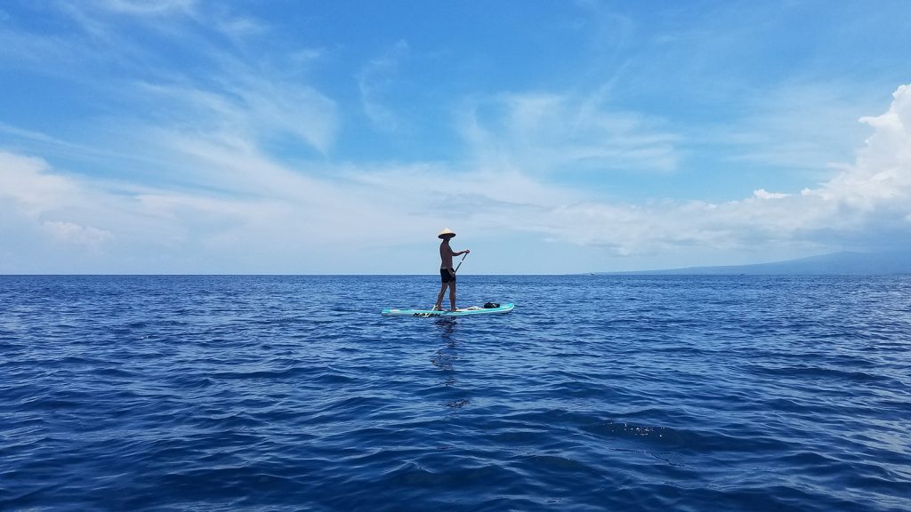 Stand Up Paddleboarding at sea