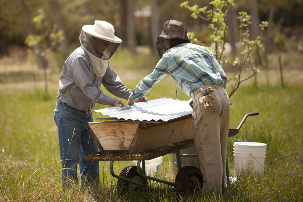 Beekeeping at Los Poblanos